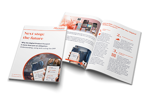 MockUP Teaser DPP verstehen, nutzen, skalieren Whitepaper ENG_150dpi