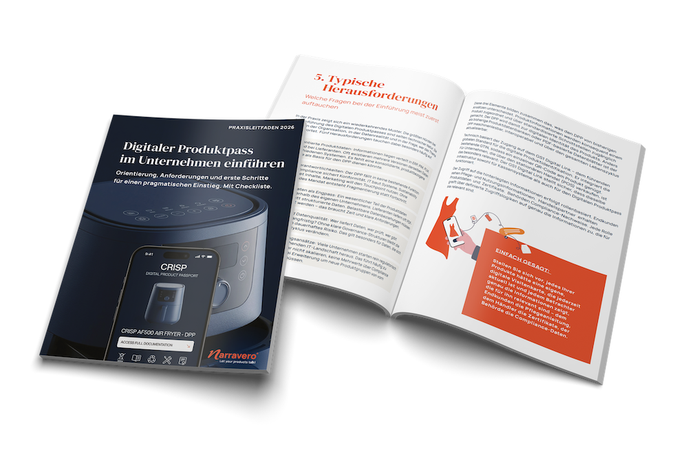 MockUP Teaser for Whitepaper DPP einfuehren DE